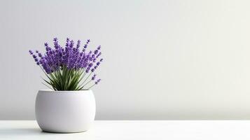 foto do lavanda flor dentro Panela isolado em branco fundo. generativo ai