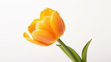 foto do lindo tulipa flor isolado em branco fundo. generativo ai