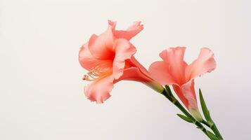foto do lindo Gladiola flor isolado em branco fundo. generativo ai