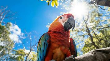 foto do papagaio dentro ther floresta com azul céu. generativo ai