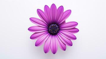 foto do lindo osteospermum flor isolado em branco fundo. generativo ai