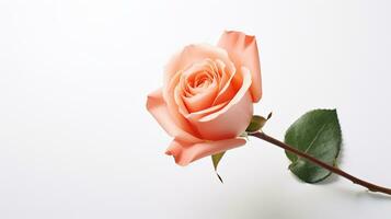 foto do lindo rosa flor isolado em branco fundo. generativo ai