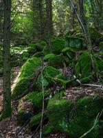 paisagens deslumbrantes dos vosges na França foto