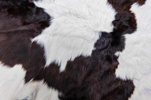 casaco de pele de vaca marrom com pelo preto branco e manchas marrons foto