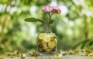 árvore com flores crescendo no cofrinho de vidro de uma pilha de moedas de ouro com fundo desfocado foto