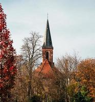 árvores na cidade de Estrasburgo, França foto