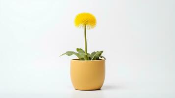 foto do dente de leão flor dentro Panela isolado em branco fundo. generativo ai