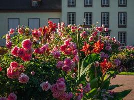 flores na cidade de strasbourg, frança foto