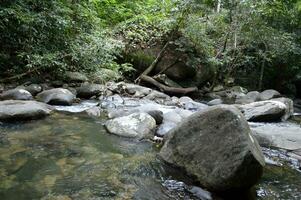 a rio dentro a floresta. cascata dentro chonburi Tailândia foto