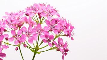 foto do lindo valeriana flor isolado em branco fundo. generativo ai