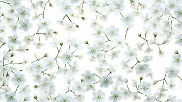 Gypsophila flor estampado fundo. flor textura fundo. generativo ai foto