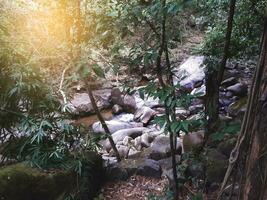 bela cachoeira na floresta foto