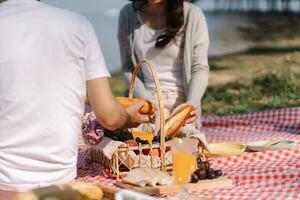 piquenique almoço refeição ao ar livre parque com Comida piquenique cesta. desfrutando piquenique Tempo dentro parque natureza ao ar livre foto