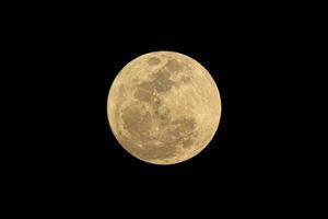 natural satélite lua dentro Sombrio noite céu amarelo cor foto