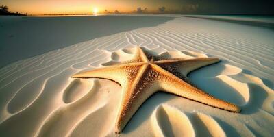 brilhante estrelas do mar em a imaculado areias do Maldivas foto