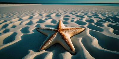 brilhante estrelas do mar em uma lindo Maldivas de praia foto