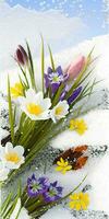 Primavera flores dentro Nevado país das maravilhas foto