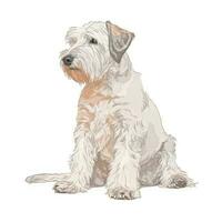 suave pastel sealyham terrier aguarela pintura foto