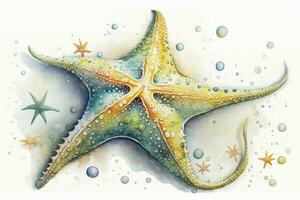 vibrante aguarela estrelas do mar ilustração para temático costeiro desenhos foto