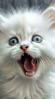adorável bebê pigmeu gato com aberto boca em Área de Trabalho ai gerado foto