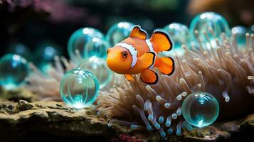 colorida Peixe-palhaço espreitar Fora a partir de anêmona dentro Indonésia ai gerado foto