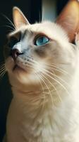 fofa branco gato com azul olhos dentro Sombrio bege e céu azul estilo ai gerado foto