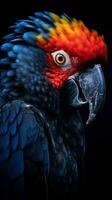 colorida pop arte papagaio em Sombrio fundo generativo ai foto