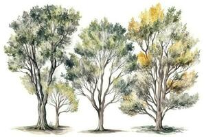 desenhado à mão aguarela coleção do cinza árvores para floresta paisagens generativo ai foto