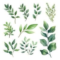verde folha aguarela floral ilustração conjunto para Casamento papelaria e saudações generativo ai foto