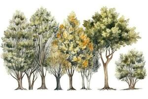 desenhado à mão hornbeam árvore floresta coleção para aguarela arte generativo ai foto