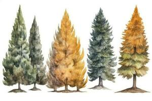 desenhado à mão aguarela lariço árvores coleção para floresta cenas generativo ai foto