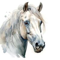 aguarela branco cavalo cabeça clipart em branco fundo ai gerado foto