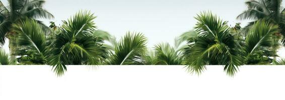 tropical Palma árvores quadro, Armação em branco fundo ai gerado foto