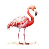 adorável aguarela flamingo clipart em branco fundo ai gerado foto