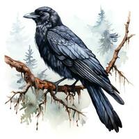 majestoso aguarela gótico Raven clipart em branco fundo ai gerado foto