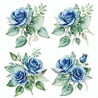 aguarela azul rosas clipart foto