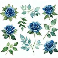 aguarela azul rosas clipart foto