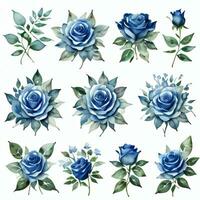 aguarela azul rosas clipart foto