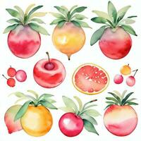 aguarela frutas clipart foto