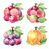 aguarela frutas clipart foto