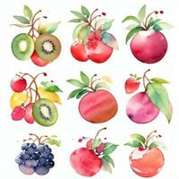 aguarela frutas clipart foto