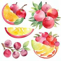 aguarela frutas clipart foto