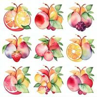 aguarela frutas clipart foto