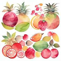 aguarela frutas clipart foto