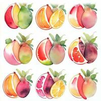 aguarela frutas clipart foto