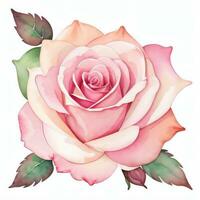 Rosa aguarela rosas clipart foto