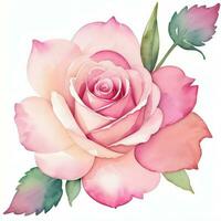 Rosa aguarela rosas clipart foto