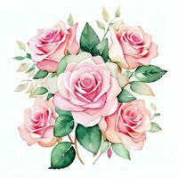 Rosa aguarela rosas clipart foto