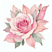 Rosa aguarela rosas clipart foto