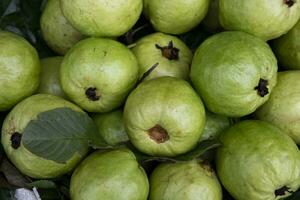 fresco verde goiaba frutas exibido para venda dentro a mercado do Bangladesh foto